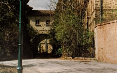 Wiener Neudorf